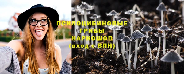 винт Баксан